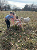 Rehoboth Farm Kids Summer Camp