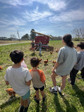 Rehoboth Farm Kids Summer Camp